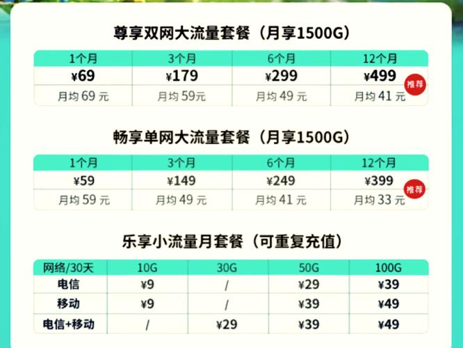 流量包功能费100元是什么