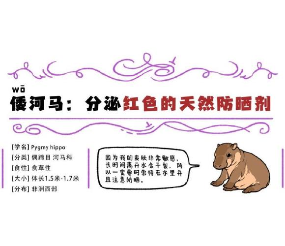 河马科普