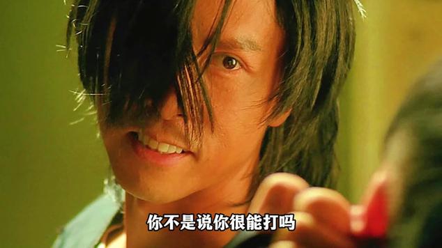 甄子丹演的所有的电影