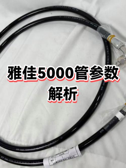 罗兰ae10雅佳5000对比