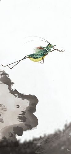让蝈蝈叫的妙招