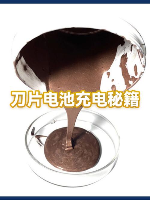 刀片电池充电100%好还是90%