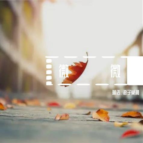 微微音乐下载app
