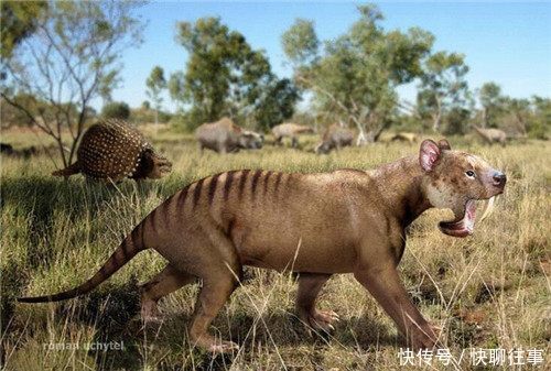 70万年80级万年速度分别是多少