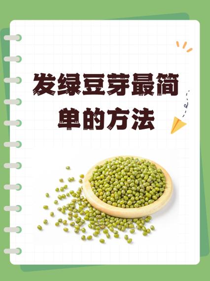 怎样发豆芽又快又简单