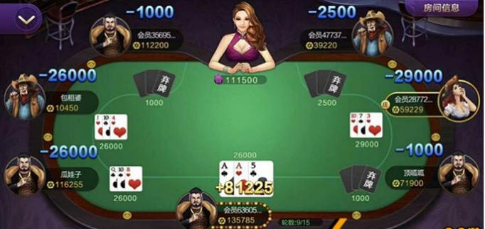 棋牌类游戏透视脚本游戏截图
