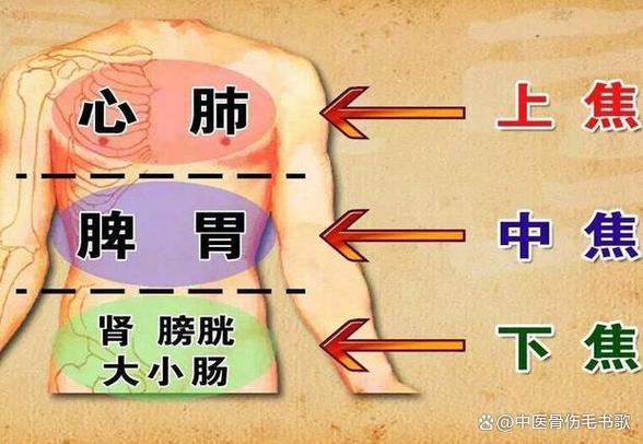 中医定义人体两个本源分别是什么