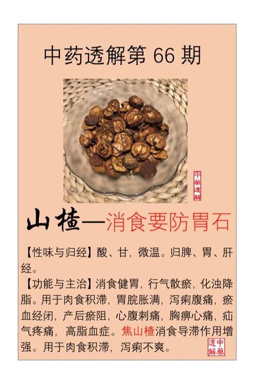 山楂主治什么病最好
