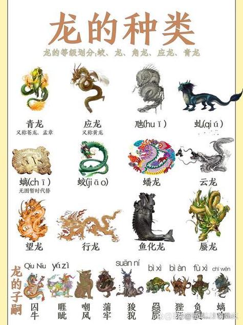 昨天开龙今晚开什么生肖