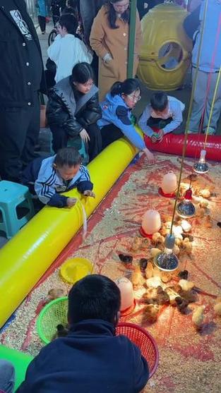 摆摊好项目