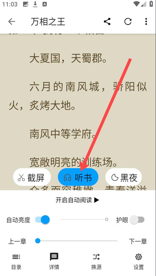 手机怎么把小说传到p4