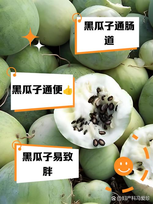 黑瓜子是什么瓜的子截图