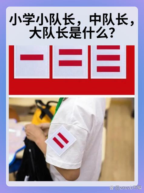 所有小学生都是少先队员吗
