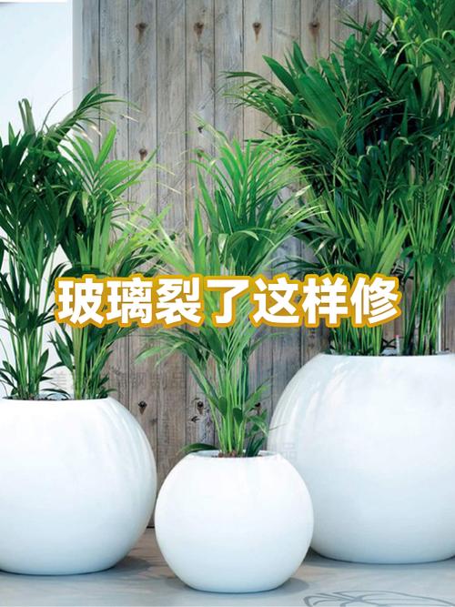 怎样修复玻璃裂缝