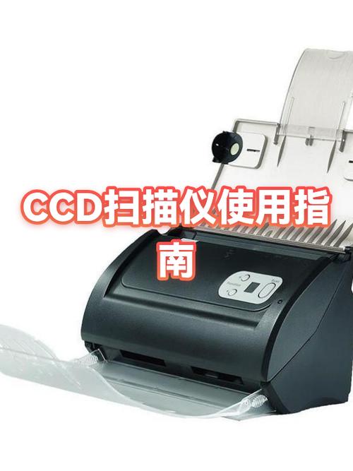 ccd最建议买三个品牌游戏截图