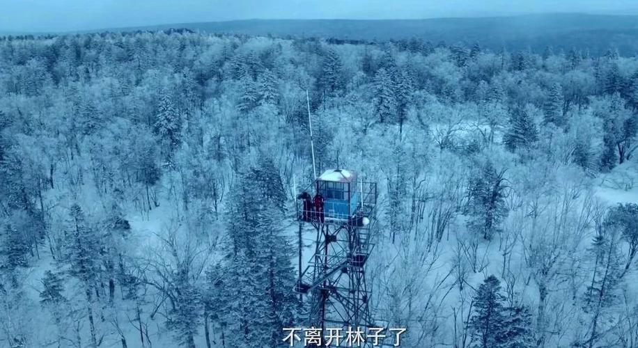 双探完整版免费观看游戏截图
