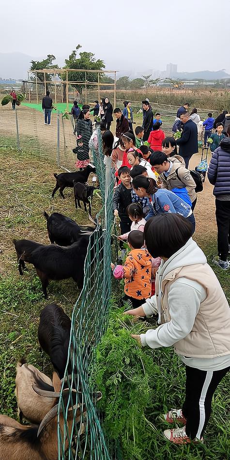 20亩亲子农场图片
