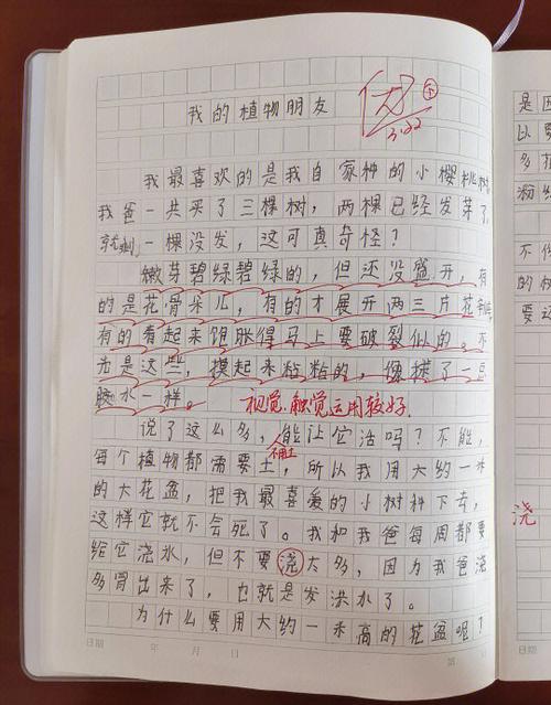 三年级范文作文300字左右