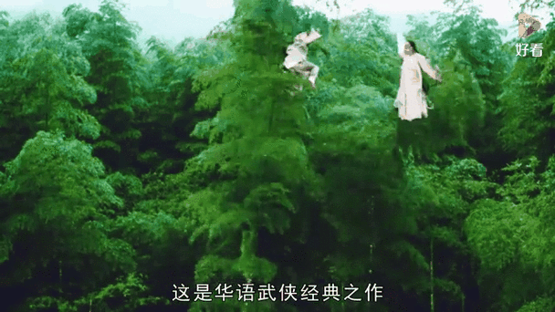 ps2卧虎藏龙