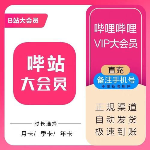 nt动漫会员