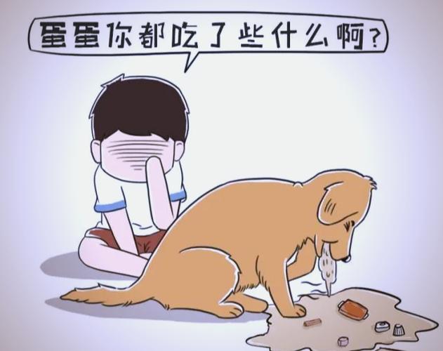 狗狗肥皂水催吐得多久能吐出来