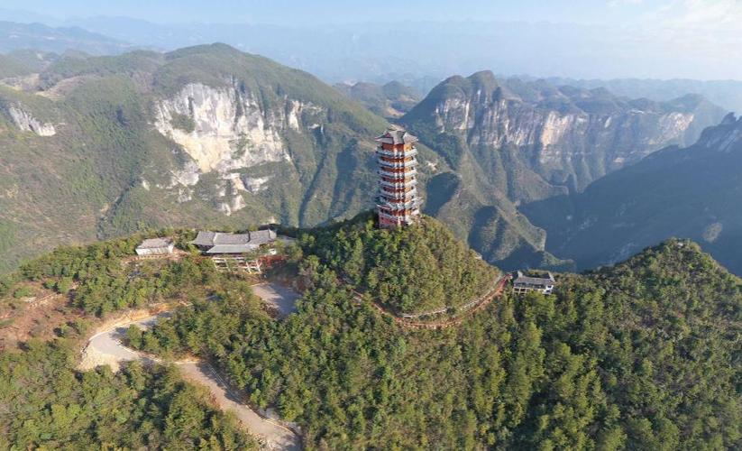 什么龙缸性价比最高