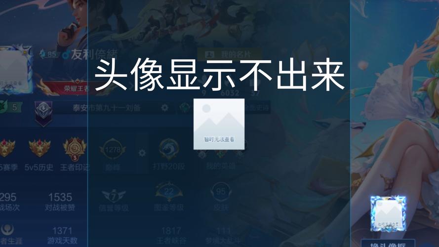 王者荣耀头像无法查看
