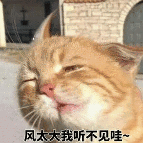 表示风很大的表情包