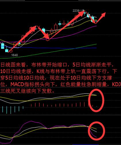 股票10日均线是什么颜色