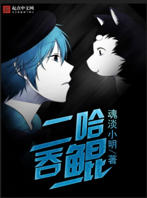 二哈鲲弩小说