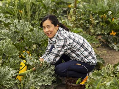 富贵农家女