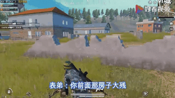 和平精英课程