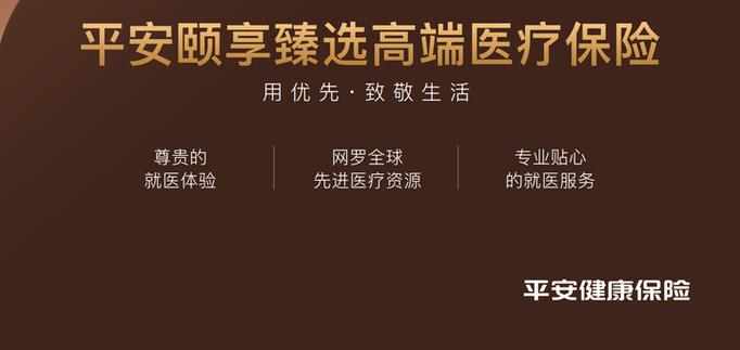 V享臻选