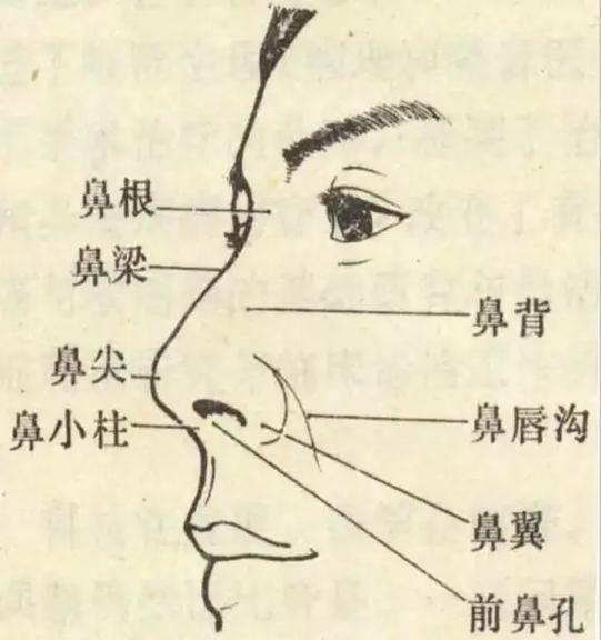 王嘉尔鼻子怎么保养