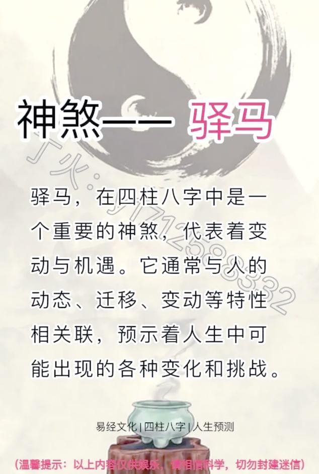 四方八面打一特马数字