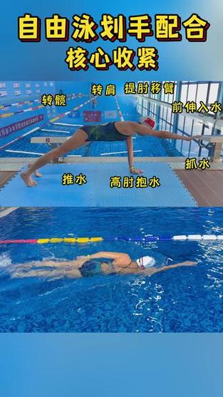 初学游泳的基本动作视频