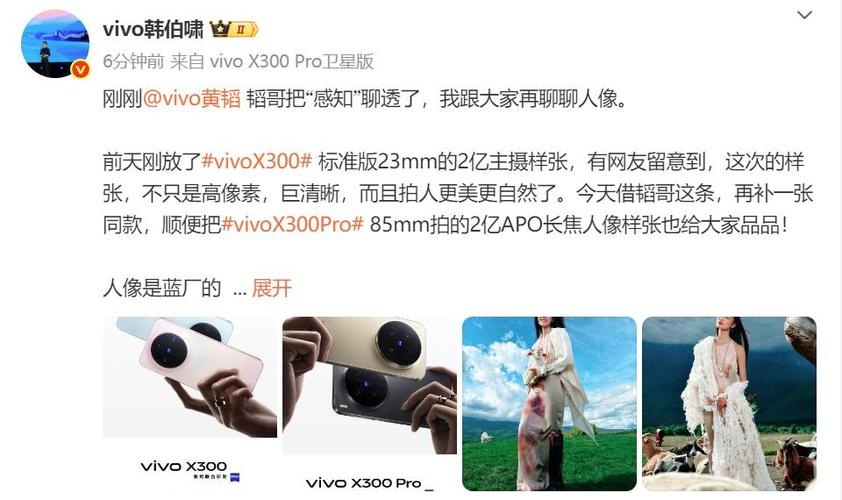 vivox300人像模式怎样拍出光斑