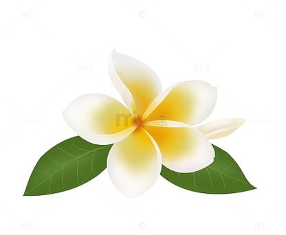 鸡蛋花表情符号