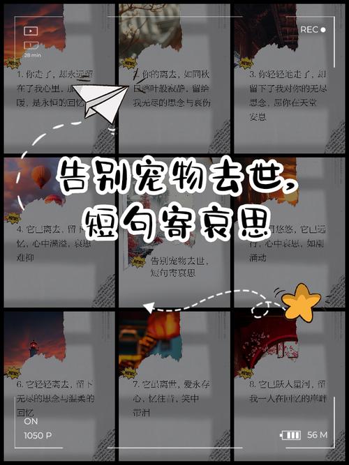 萌宠文推荐