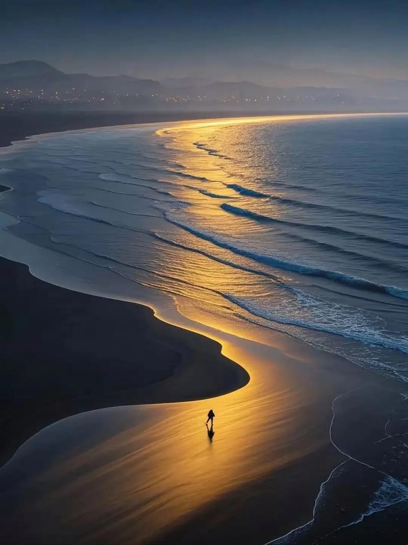 海岸线自指