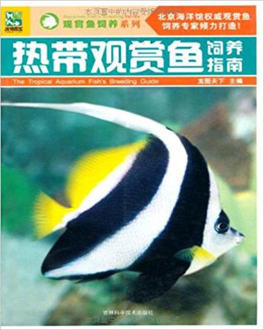 观赏鱼多久喂一次食