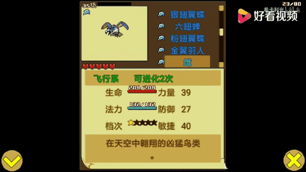 宠物王国彩虹