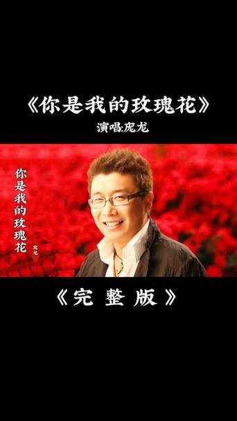 你是我的瑰玖