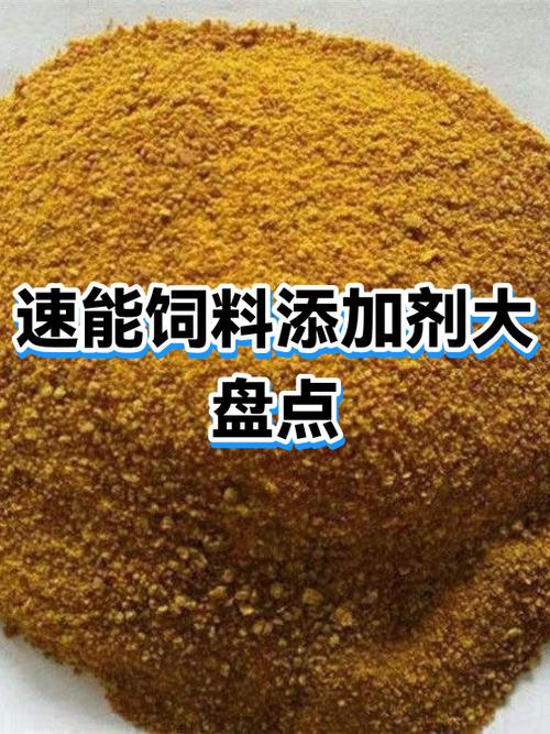怎样才能快速补充体力截图