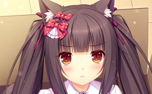 nekopara2手机版下载