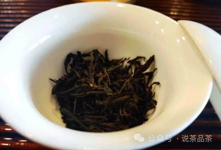 茶杯的原味生存223