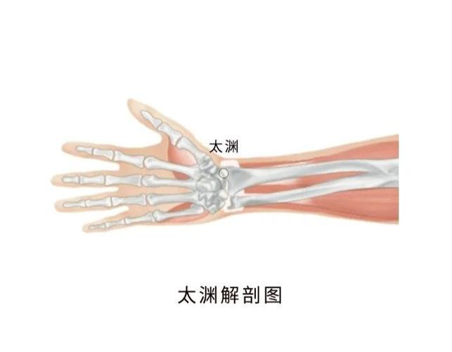 手表戴手腕内侧大忌