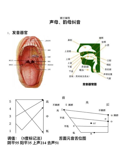 opporeno怎么读正确发音