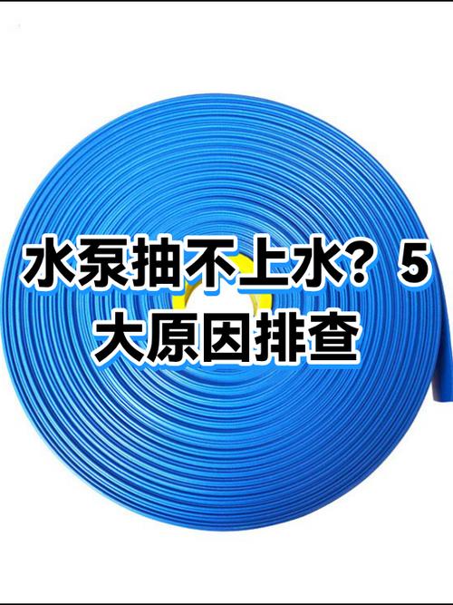 家用抽水泵抽不上水的原因游戏截图