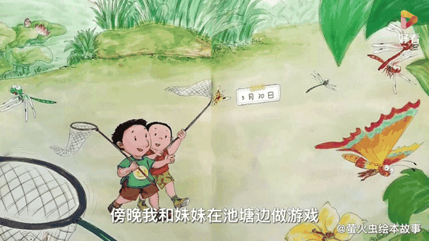 捉蜻蜓的日记